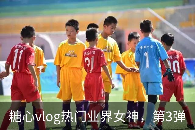 糖心vlog热门业界女神，第3弹